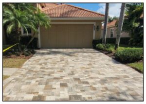 A driveway with brick pavers and palm trees.