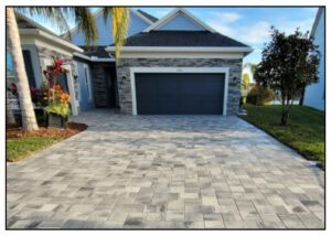 A driveway with brick pavers and palm trees.